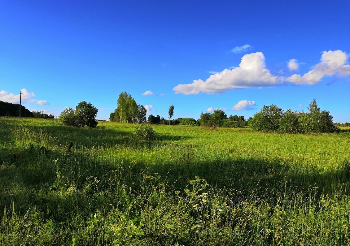 Просторы села Куракино.